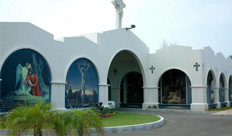 Image Caption
